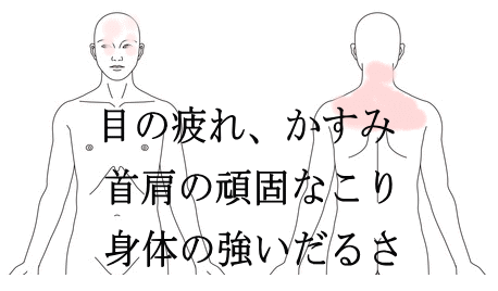 高齢者の眼精疲労の症例